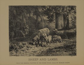 Sheep and Lambs, Woodcut Engraving from the Original Painting by Charles Jacque, The Masterpieces of French Art by Louis Viardot, Published by Gravure Goupil et Cie, Paris, 1882, Gebbie & Co., Philade...