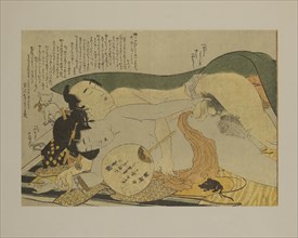 Erotic Couple, Woodblock Print from the Series Picture Book, Patterns of Couples (Ehon tsui no hinagata), by Katsushika Hokusai,  1812