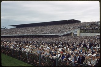 Crowd Watching Melbourne Cup, Victoria Racing Club, Flemington Racecourse, Melbourne, Australia, November 1959