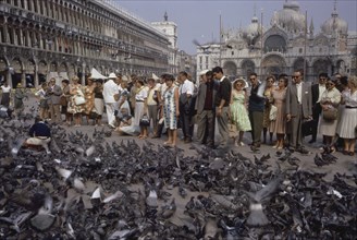 Crowd Feeding Pigeons, St. Mark's Square, Venice, Italy, 1961