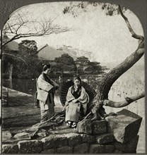 By the lotus pond, Shiba Park, Tokio, Japan, Single Image of Stereo Card, C.H. Graves, Universal Photo Art, 1902