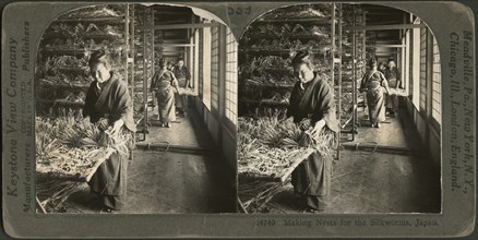 Making Nests for the Silkworms, Japan, Stereo Card, Keystone View Company, 1905