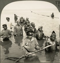 Russian Fishermen Drawing their Nets on the Lower Volga River, Russia, Single Image of Stereo Card, Keystone View Company, early 1900's