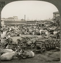 Exporting Wheat at Odessa on the Black Sea, the Ukraine, Single Image of Stereo Card, Keystone View Company, early 1900's