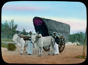 Ox Cart, Sri Lanka, Hand-Colored Magic Lantern Slide, W.C. Hughes, early 1900's