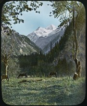 Mountain Scene, Kashmir, India, Hand-Colored Magic Lantern Slide, Newton & Company, 1920