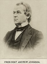 Andrew Johnson (1808-75), 17th President of the United States, Portrait, late 1860's