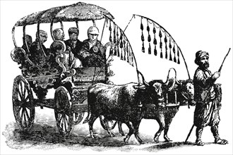 A Family “Araba” or Carriage, Syria, 1890's, Illustration, Classical Portfolio of Primitive Carriers, by Marshall M. Kirman, World Railway Publ. Co., Illustration, 1895