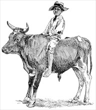 Riding a Bull in rural Georgia, USA, Illustration, Classical Portfolio of Primitive Carriers, by Marshall M. Kirman, World Railway Publ. Co., Illustration, 1895