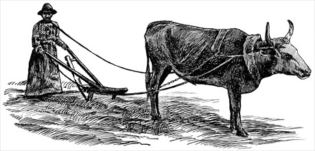 Farming in Rural Georgia, USA, Illustration, Classical Portfolio of Primitive Carriers, by Marshall M. Kirman, World Railway Publ. Co., Illustration, 1895