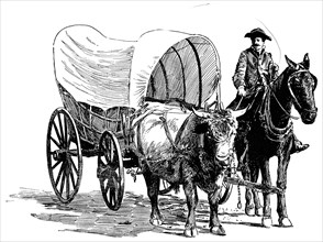 Ox and Horse Cart on Street, Asheville, North Carolina, USA, Illustration, Classical Portfolio of Primitive Carriers, by Marshall M. Kirman, World Railway Publ. Co., Illustration, 1895