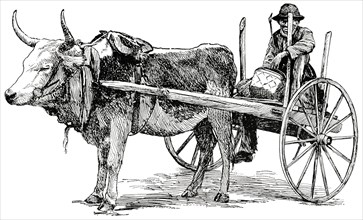 Primitive Carriage, Georgia, USA, Illustration, Classical Portfolio of Primitive Carriers, by Marshall M. Kirman, World Railway Publ. Co., Illustration, 1895