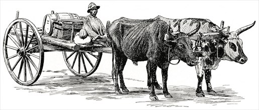 Cart on Market day, Georgia, USA, Illustration, Classical Portfolio of Primitive Carriers, by Marshall M. Kirman, World Railway Publ. Co., Illustration, 1895