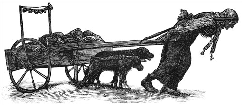 European Dog Cart, Manitoba, Canada, Illustration, Classical Portfolio of Primitive Carriers, by Marshall M. Kirman, World Railway Publ. Co., Illustration, 1895