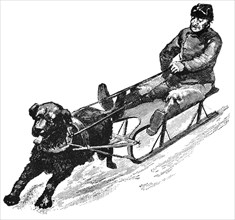 Newfoundland Dog Sled, Canada, Illustration, Classical Portfolio of Primitive Carriers, by Marshall M. Kirman, World Railway Publ. Co., Illustration, 1895