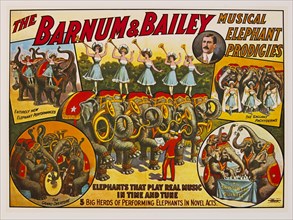 The Barnum & Bailey Musical Elephant Prodigies, Elephants that Play Real Music in Time and Tune, Circus Poster, Lithograph, 1909