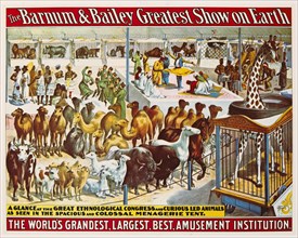 The Barnum & Bailey Greatest Show on Earth, The World's Grandest, Largest, Best Amusement Institution, Great Ethnological Congress and Curious Led Animals, Circus Poster, Lithograph, 1895