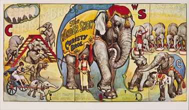 Christy Bros. Wild Animal Shows, the Wonder Show, World's Largest Living Animal, Miss Jumbo, Circus Poster, Lithograph, 1920's