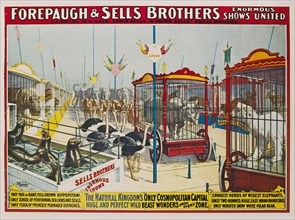 Forepaugh & Sells Brothers Enormous Shows United, Circus Poster, Lithograph, 1901