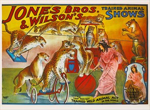 Jones Bros. & Wilson's Trained Animal Shows, "Zira" the Girl with the Leopards, Circus Poster, Lithograph, 1914