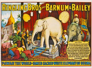 Ringling Bros and Barnum & Bailey, Pawah the World-Famed Sacred White Elephant of Burma, Circus Poster, Lithograph, 1927