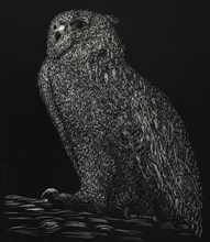 Portrait of Owl, Illustration, Judith Armidur