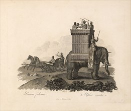 1. Currus falcatus 2. Elephas ornatur, Engraving, G. Dobler, 1819