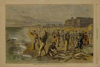 Squidding for Blue-Fish at Asbury Park, Drawn by Theo. R. Davis, Harper's Weekly, July 3, 1880