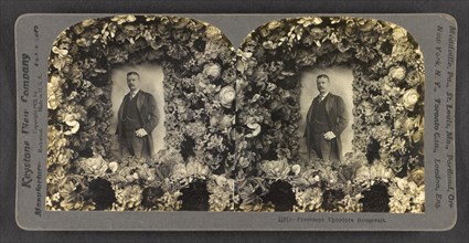 President Theodore Roosevelt, Portrait, Stereo Card, Keystone View Company, 1901