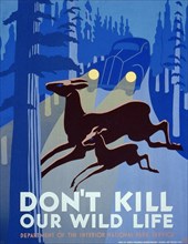Works Progress Administration Poster, "Don't Kill our Wild Life", Department of the Interior National Park Service - Federal Art Project NYC, 1936
