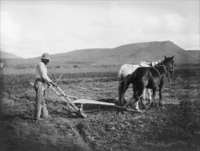 Man Plowing Field, Salt River Project, Sacaton, Arizona, USA, National Photo Company, 1910's
