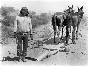Cushong, or Fat Hen, Laborer with Two Mules, Salt River Project, Arizona, USA, National Photo Company, 1910's