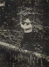 U.S. President Theodore Roosevelt Chopping Wood at his Country Home, Sagamore Hill, Oyster Bay, New York, USA, September 11, 1905