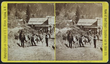 Views of General Brook's Expedition and the Black Hills, City of Deadwood, from South, S.J. Morrow, Stereo Card, 1876