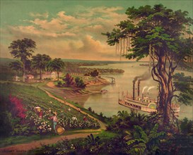 "Sunny South", African Americans Picking Cotton, Riverboat on River, Plantation House in Background, Lower Mississippi River, Lithograph, 1883