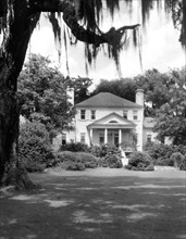 Plantation, Charleston County, South Carolina, USA, Frances Benjamin Johnston, 1938