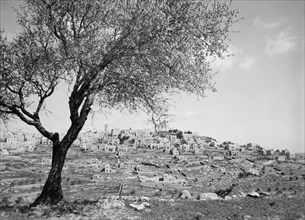 Bethlehem, West Bank, Matson Photo Service, March 1945