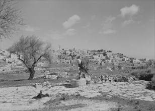 Man Retrieving Water from Well, Bethlehem, West Bank, Matson Photo Service, March 1945
