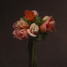 Bouquet of Pink and Salmon Anemone Flowers against Dark Background