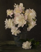 Bouquet of Peonies in Vase