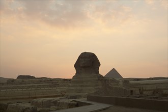 Sphinx at the Pyramids of Giza at Sunset, Egypt