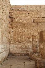 Reliefs, Medinat Habu Temple, Luxor, Egypt