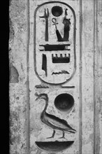Egyptian Hieroglyphics, Luxor, Egypt