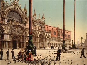 Pigeons in St. Mark's Place, Venice, Italy, Photochrome Print, Detroit Publishing Company, 1900