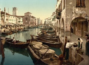 Fish Market, Chioggia, Venice, Italy, Photochrome Print, Detroit Publishing Company, 1900