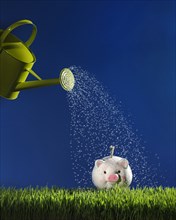 Watering Can and Piggy Bank on Grass