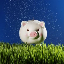 Water Droplets on Piggy Bank on Grass