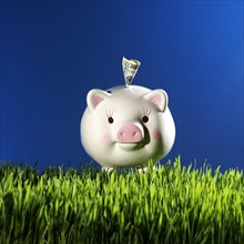 Money Growing from Piggy Bank on Grass