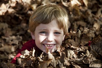 Smiling Blonde Boy in Pile of Leaves