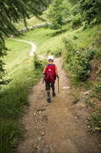 Boy Hiking Down Trail with Walking Stick, Rear View